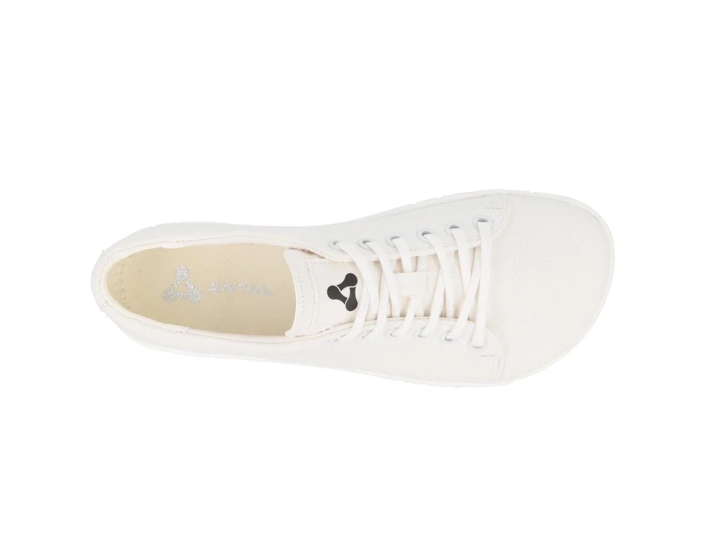 Кроссовки Antal ArtWalk — BasicWhite, фото 5